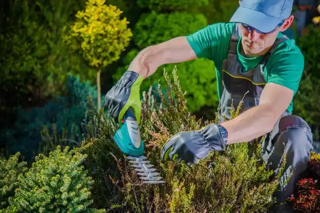 landscaping services Lydia